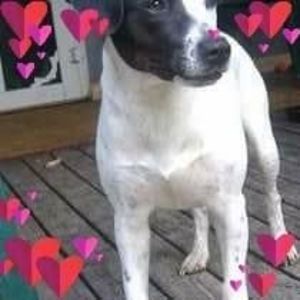 Meet your Posher, Ana